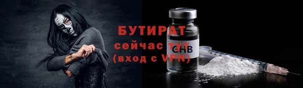 сатива Арсеньев