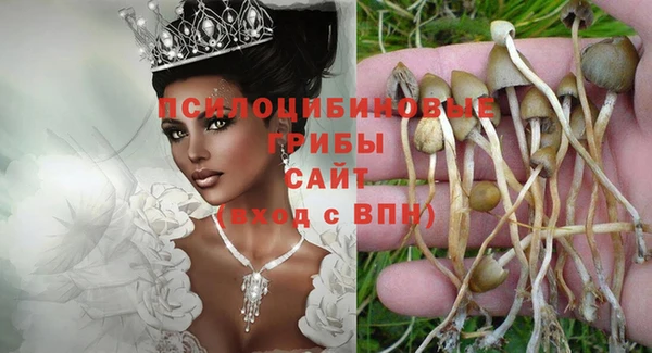 тгк Новокубанск